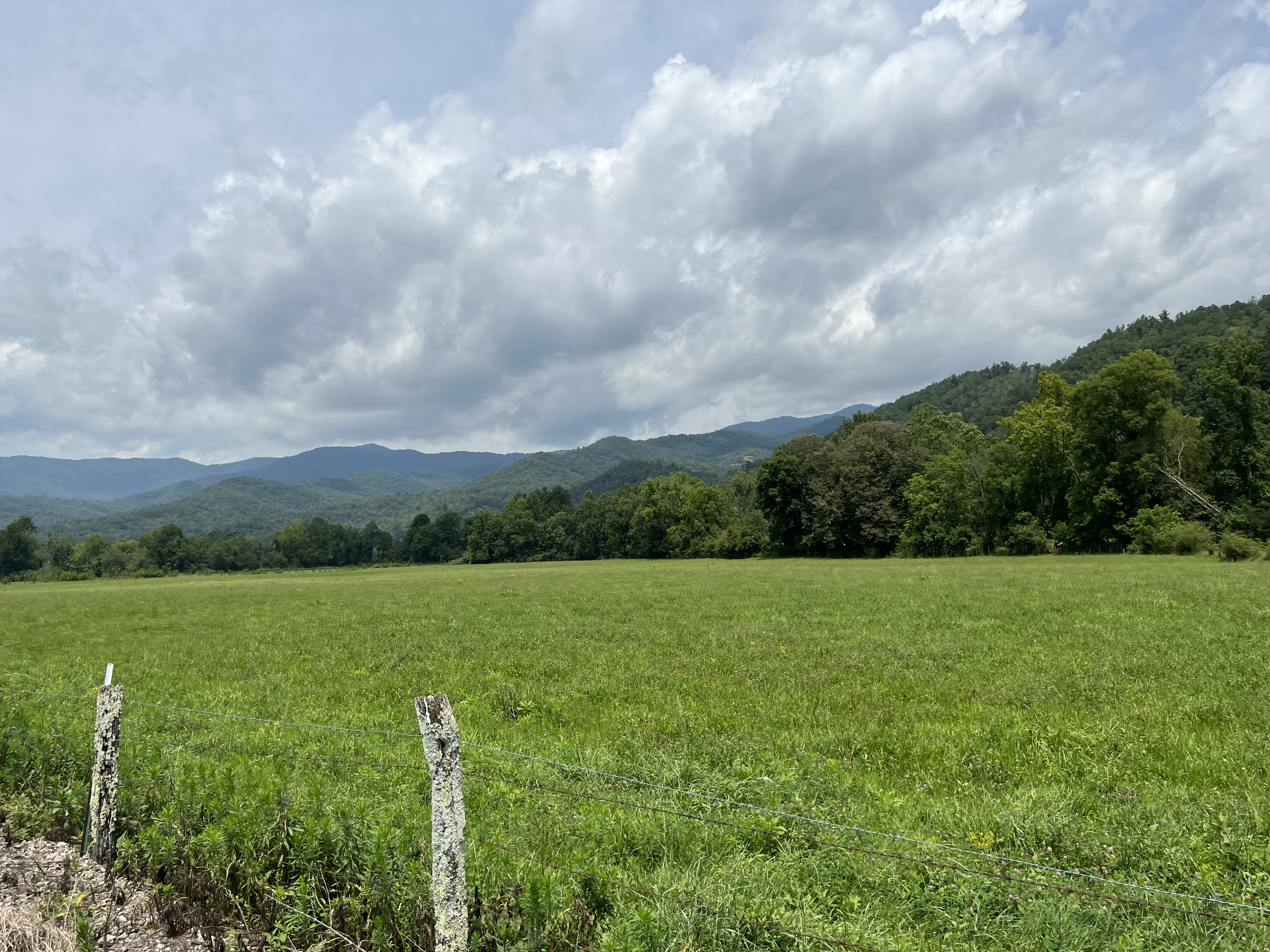 ./2023/11 - Asheville/IMG_9900.jpg